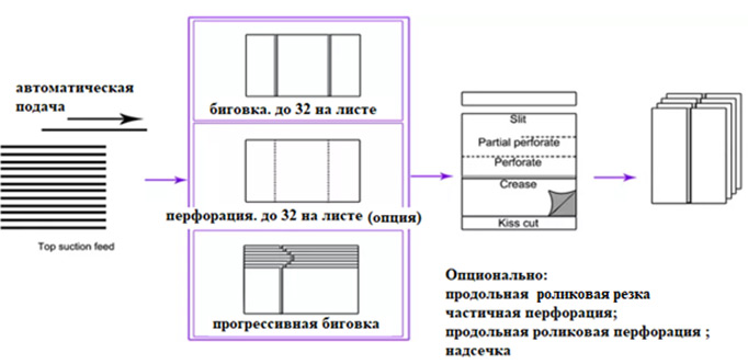 8336-2.jpg