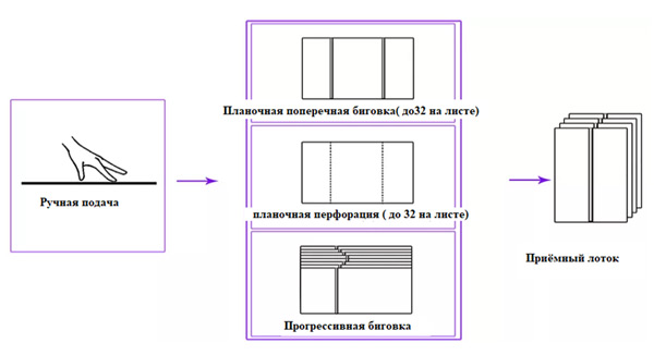 c4-1.jpg